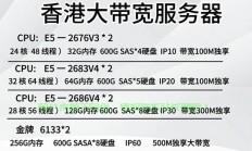 香港VPS代理加盟，开启在线业务新篇章，共创辉煌！