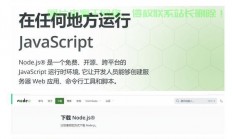Node.js环境VPS快速搭建教程