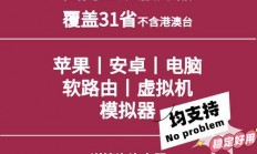 PPTP服务端与VPS融合，实现高效远程访问极致体验