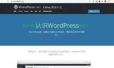 极速建站利器，64m VPS WordPress体验分享