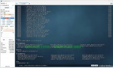 Linux VPS上运行exe文件，探究跨平台执行的可能性与挑战