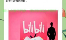 Mac用户下载Bilibili视频攻略，轻松掌握下载技巧！