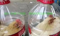 轻松入门容器世界，探索容器技术的必备指南