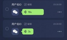 VPS语音聊天室，远程语音交流新体验，轻松搭建实现！
