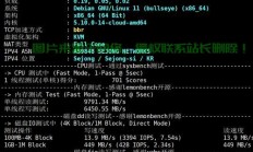 揭秘低配国内VPS，效能与限制，一文洞悉真相！