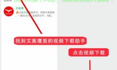 速康宝视频下载攻略，轻松掌握下载技巧！