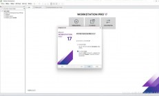Linux下虚拟Windows，实现跨平台兼容的终极指南，如何在Linux上完美虚拟Windows？跨平台兼容终极方案揭秘！，如何在Linux上完美运行Windows？终极跨平台方案大公开！