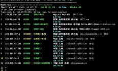 揭秘三网线路VPS，高效稳定安全的网络新选择