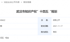武汉市知识产权“十四五”规划：推进集成电路与软件产业知识产权创新发展