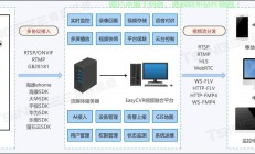 VPS部署全攻略，轻松搭建个人网站，一步步带你成为网络高手！
