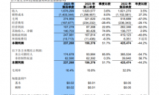 新春前，中芯国际、华虹齐发财报