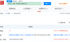 阿里平头哥半导体技术公司增资至3亿元，增幅2900%