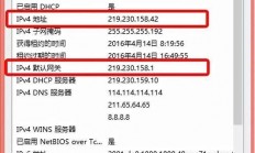 揭秘IP反查域名的神秘面纱，轻松洞悉网络背后的秘密！