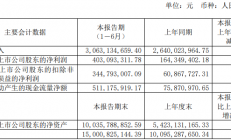 华润微上半年净利润同比增长达145%