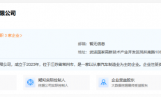 又一车企成立芯片公司