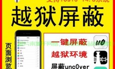 揭秘VPS伪装安装背后的真相，神秘面纱下的真相大揭秘