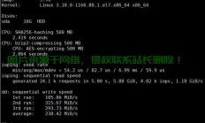 Linux VPS自动化备份实战指南，轻松构建备份解决方案