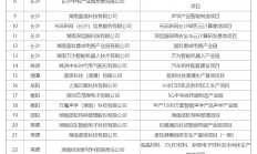 多个集成电路项目入列，湖南铺排30个电子信息制造业重点项目
