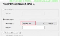 Linux VPS域名解析全攻略，步骤、技巧与注意事项详解
