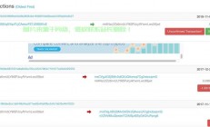 MT4VPS.net，探索虚拟专用服务器，打造交易体验之巅