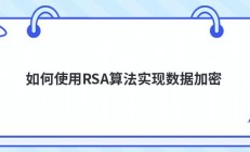 如何使用RSA算法实现数据加密
