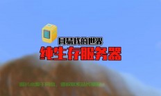 服务器生存怎么选地址?