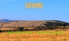 轻松下载sav文件的方法指南