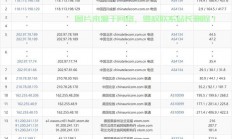 揭秘VPS主机名查看方法，轻松几步掌握技巧！