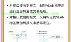 揭秘VPS拨号实现原理，深入解析虚拟专用服务器拨号技术