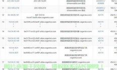 稳定高效的新加坡VPS服务，首选网络伙伴，助力您的网络需求！
