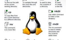 Winly Linux，轻量级Linux发行版的新选择，Winly Linux能否成为你下一款轻量级Linux系统的首选？，Winly Linux，它真能成为轻量级Linux用户的最佳选择吗？