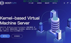VPS可靠性深度解析，保障业务连续性的关键要素