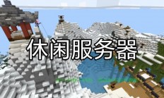mc服务器怎么进网易?