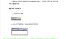 vss服务器怎么用?