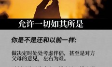 深度揭秘，概念起源与背后含义的奥秘解析