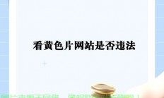轻松掌握下载技巧，高效快速下载每片资源的方法！