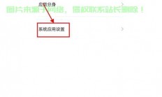 vivo手机怎么填写服务器地址?