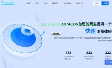揭秘独立站是否需要VPS？一文解读专家建议！