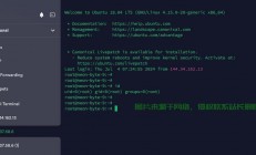 轻松检测OpenVZ技术VPS的秘诀揭秘！