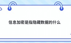 信息加密是指隐藏数据的什么