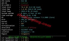 搬瓦工VPS配置指南，上手简单，运行高效！