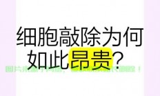 VPS34敲除细胞研究揭秘生命奥秘，基因沉默背后的探索之旅