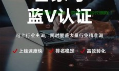 揭秘百度排名优化软件，助力网站流量飙升的秘密武器！