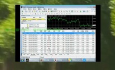 VPS挂MT4，高效便捷交易新体验的首选！