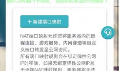 VPS管理面板搭建秘籍，高效服务器管理，轻松上手！