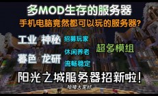 单人怎么用服务器mod?
