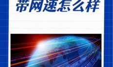 极速VPS 100M宽带体验，开启你的专属高速通道！