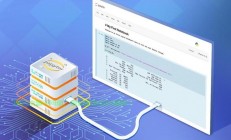 揭秘机场与VPS，差异大解析，究竟有何不同？