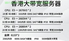 VPS的主要用途揭秘，高效、安全、灵活的网络服务体验