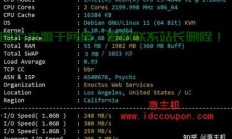 VPS上行速率全解析，网速之巅，你不可忽略的速度问题